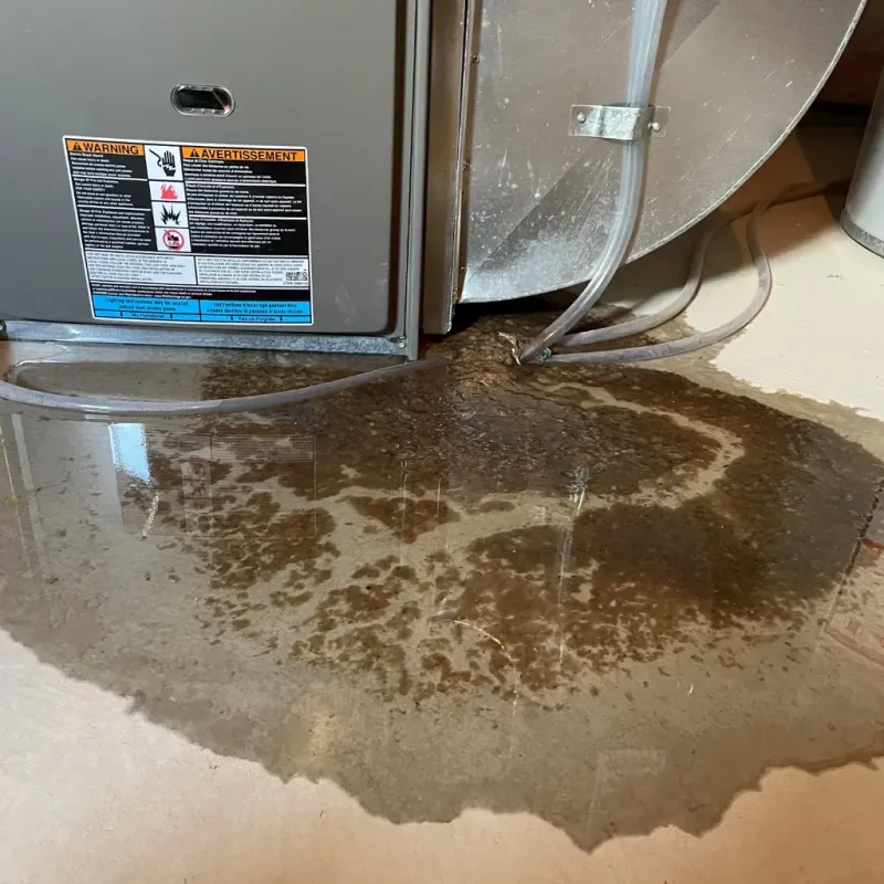 Appliance Leak Cleanup in Union City, NJ